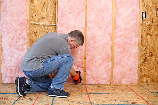 Best Commercial Insulation in Chocowinity, NC