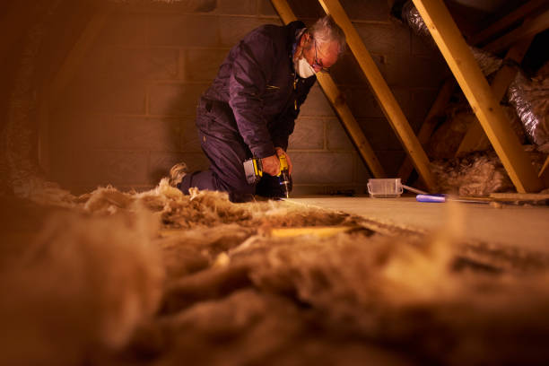 Best Cellulose Insulation in Chocowinity, NC